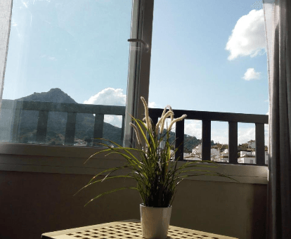 El Patio de Catalina