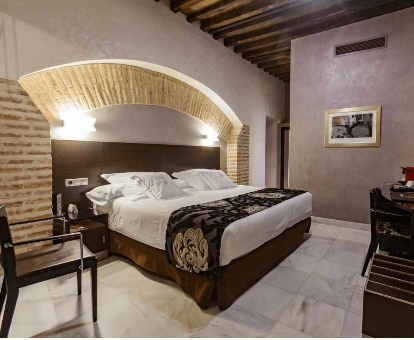 Sercotel Pintor el Greco